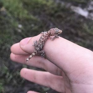 Meet your Posher, Macie